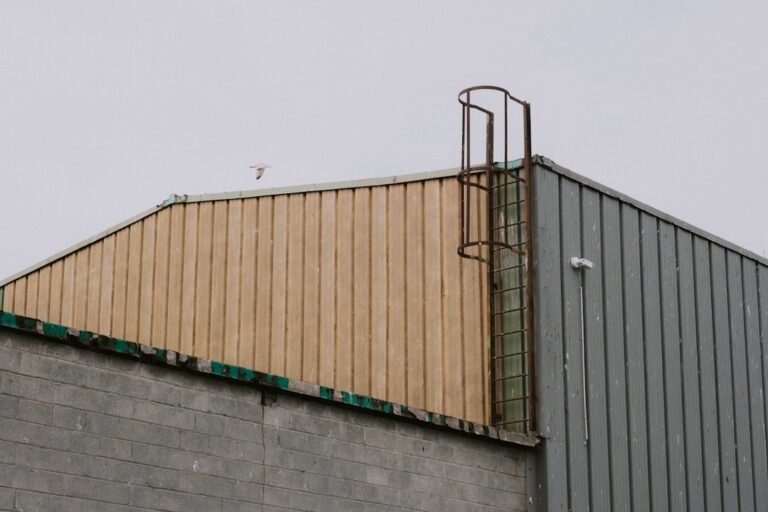 Ekologiczne materiały budowlane - przyszłość zrównoważonego budownictwa