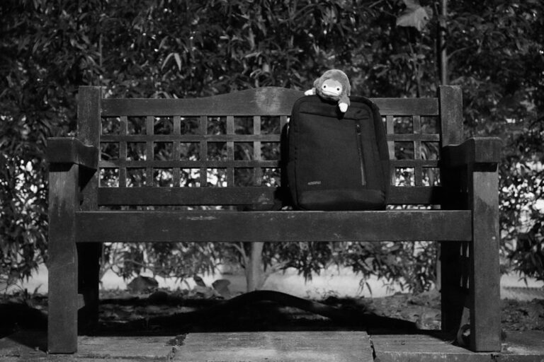 Jak wybrać ekologiczne zabawki dla dziecka - bezpieczne i naturalne